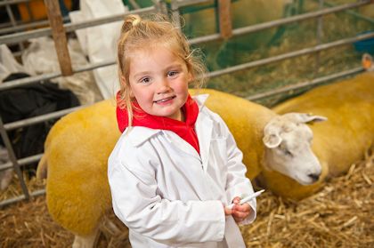Royal Welsh Show